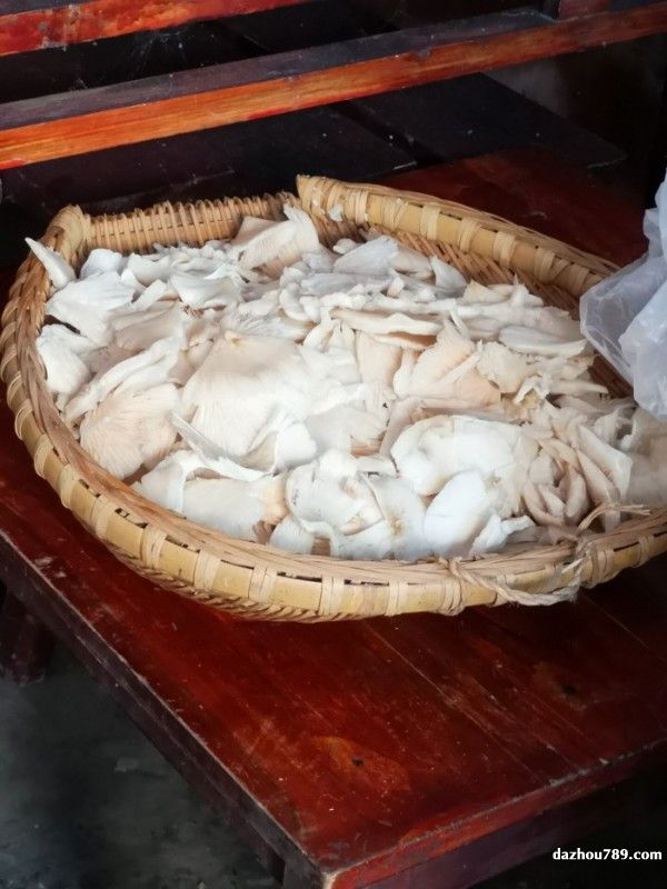 开始清洗好的伞把菇
