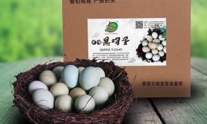 万源旧院黑鸡蛋简介